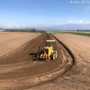 plataforma arribos 2019 icorp 05